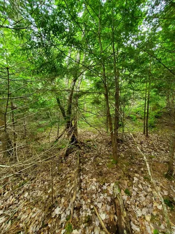 $35,000 | M1 L21-1 Street, Princeton, ME 04668