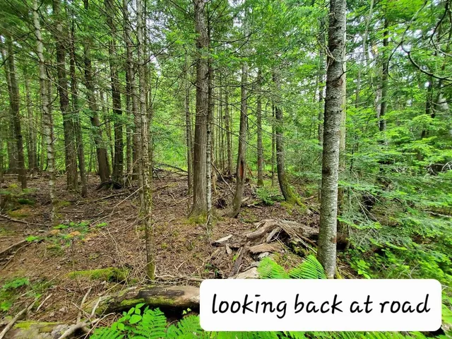 $35,000 | M1 L21-1 Street, Princeton, ME 04668