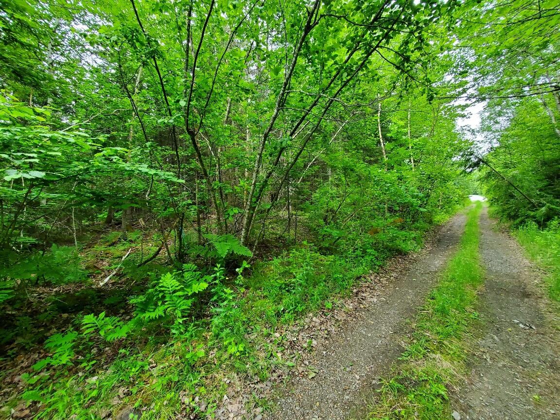 M1 L21-1 Street Princeton, ME 04668 - Photo 3 of 19 Fntg along Mill St