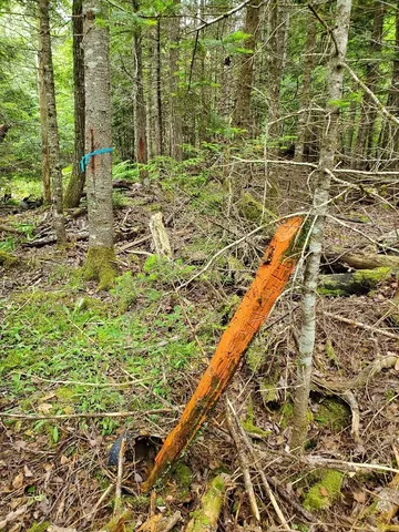 $35,000 | M1 L21-1 Street, Princeton, ME 04668