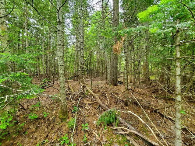 $35,000 | M1 L21-1 Street, Princeton, ME 04668