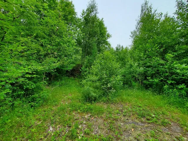 $35,000 | M1 L21-1 Street, Princeton, ME 04668