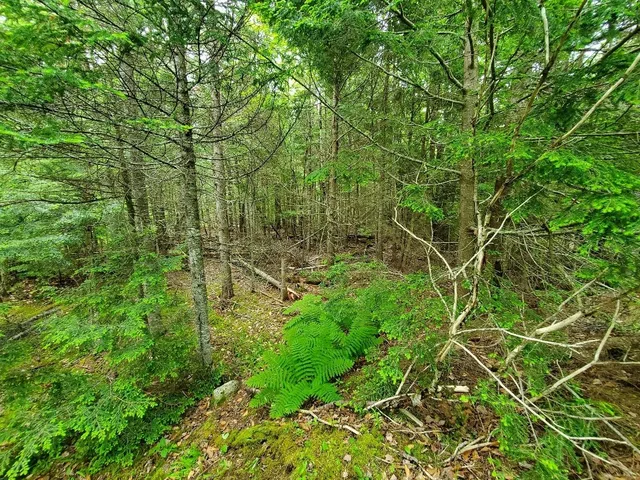 $35,000 | M1 L21-1 Street, Princeton, ME 04668