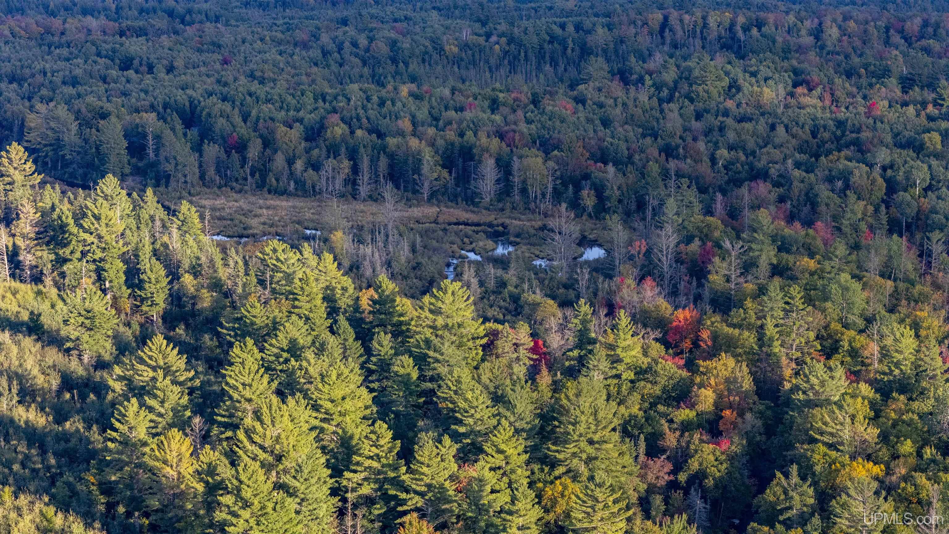 Tbd Luke Road Amasa, MI 49903 - Photo 38 of 64