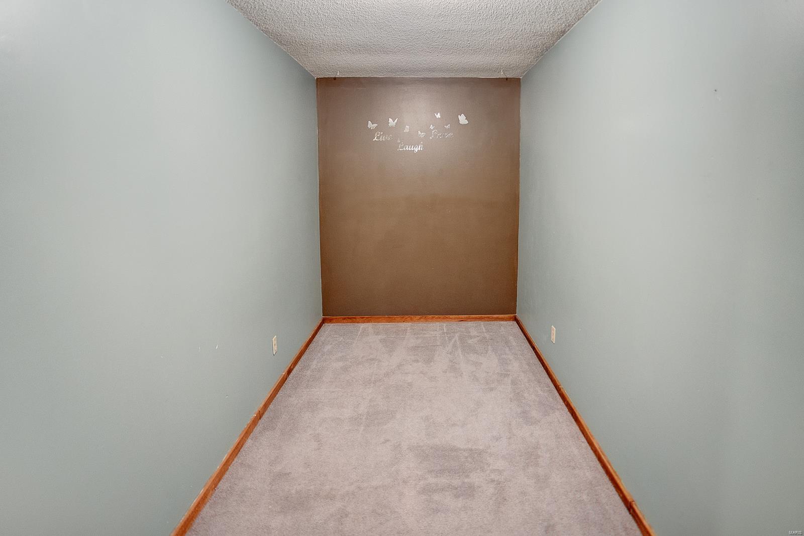 335 Woodburn Road Brighton, IL 62012 - Photo 33 of 48