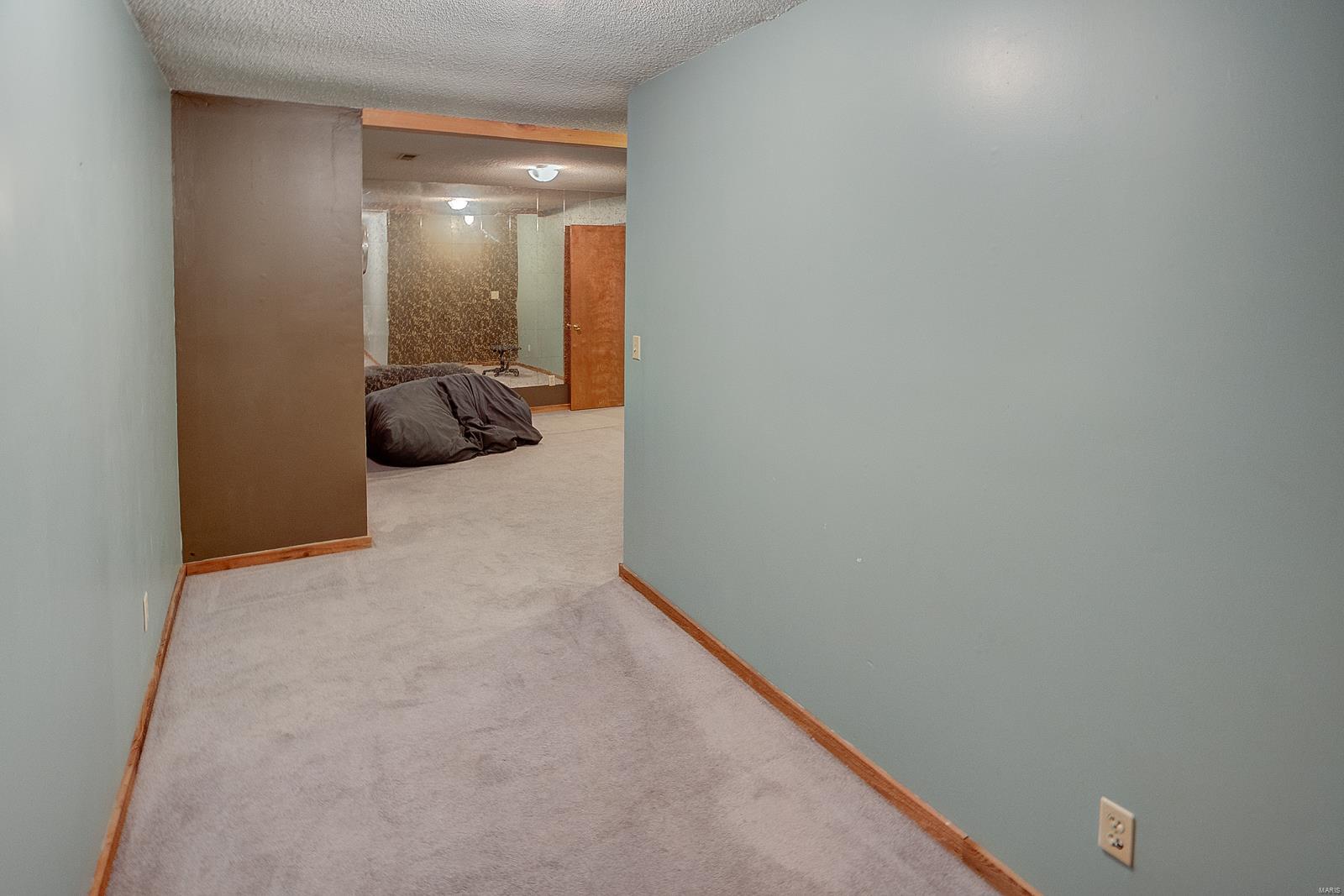 335 Woodburn Road Brighton, IL 62012 - Photo 34 of 48
