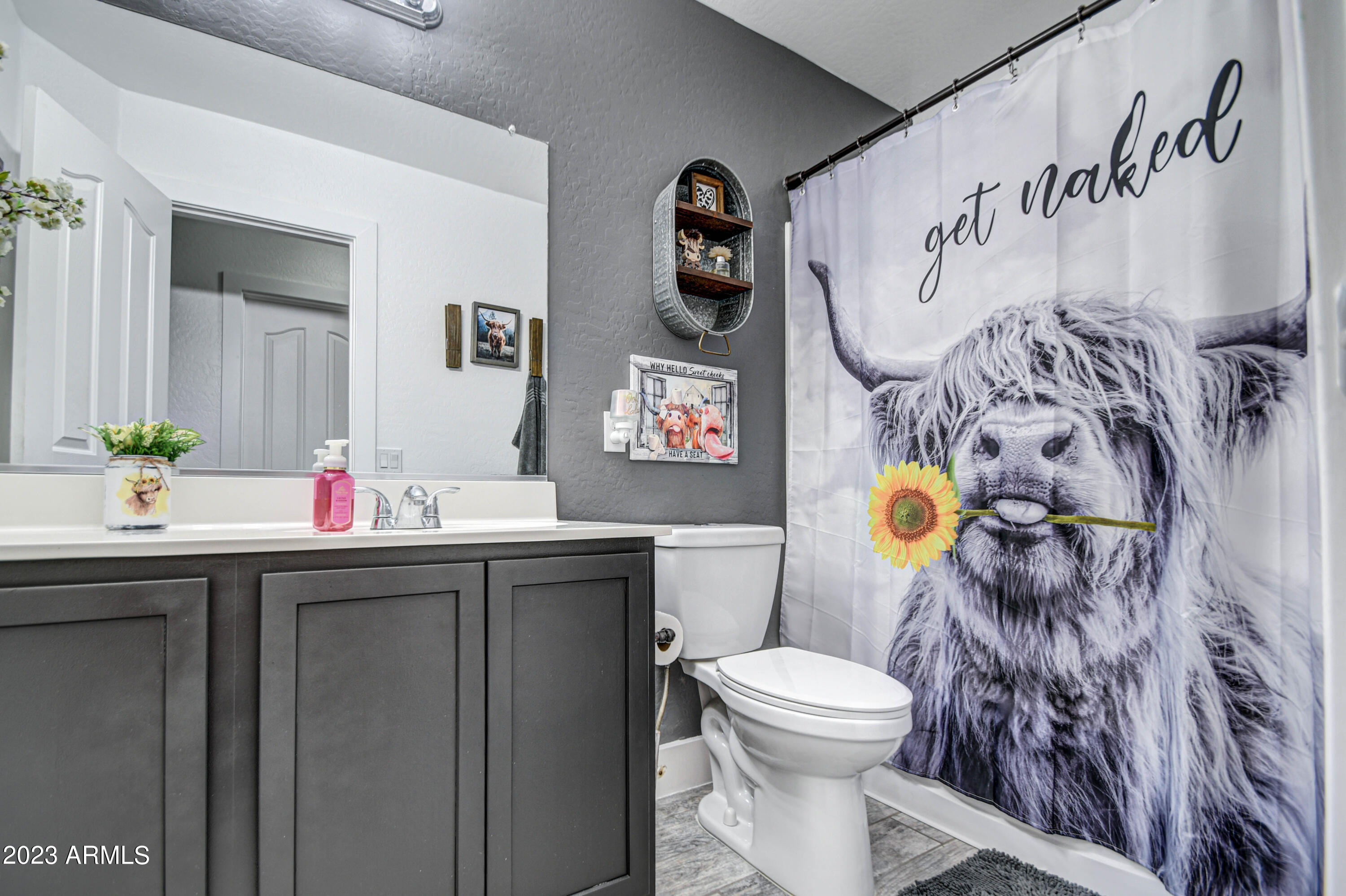 3945 East Morenci Road San Tan Valley, AZ 85143 - Photo 29 of 43 Bathroom 2-pic 1