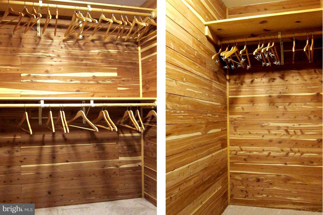 1665 Colbert Road Annapolis, MD 21409 - Photo 22 of 30 Unique Master Walk-In Cedar Closet