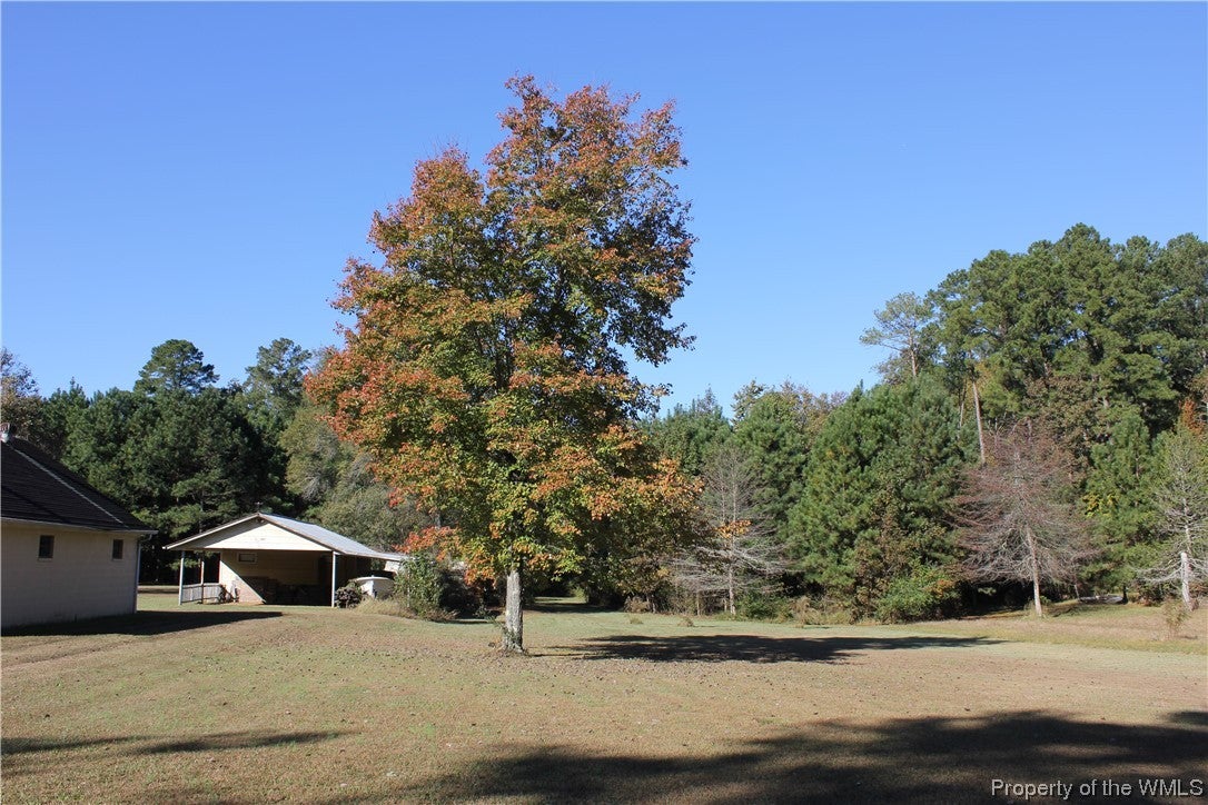 3227 Spg Grv Road Spring Grove, VA 23881 - Photo 13 of 15 Gallery Image 13