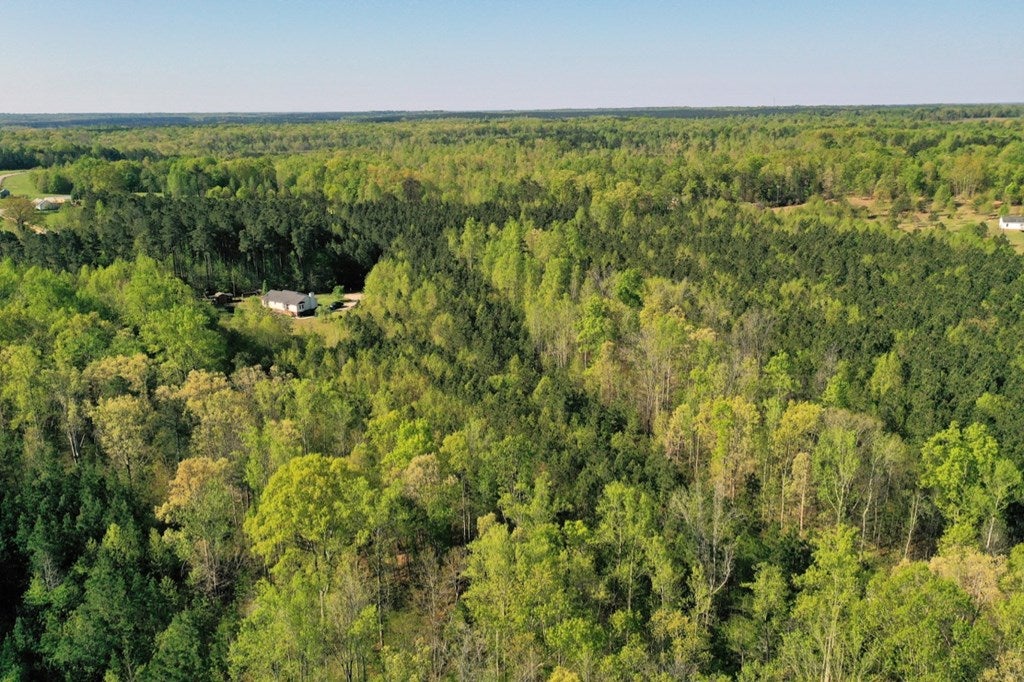 3943 Kings Road Victoria, VA 23974 - Photo 43 of 46 Gallery Image 43