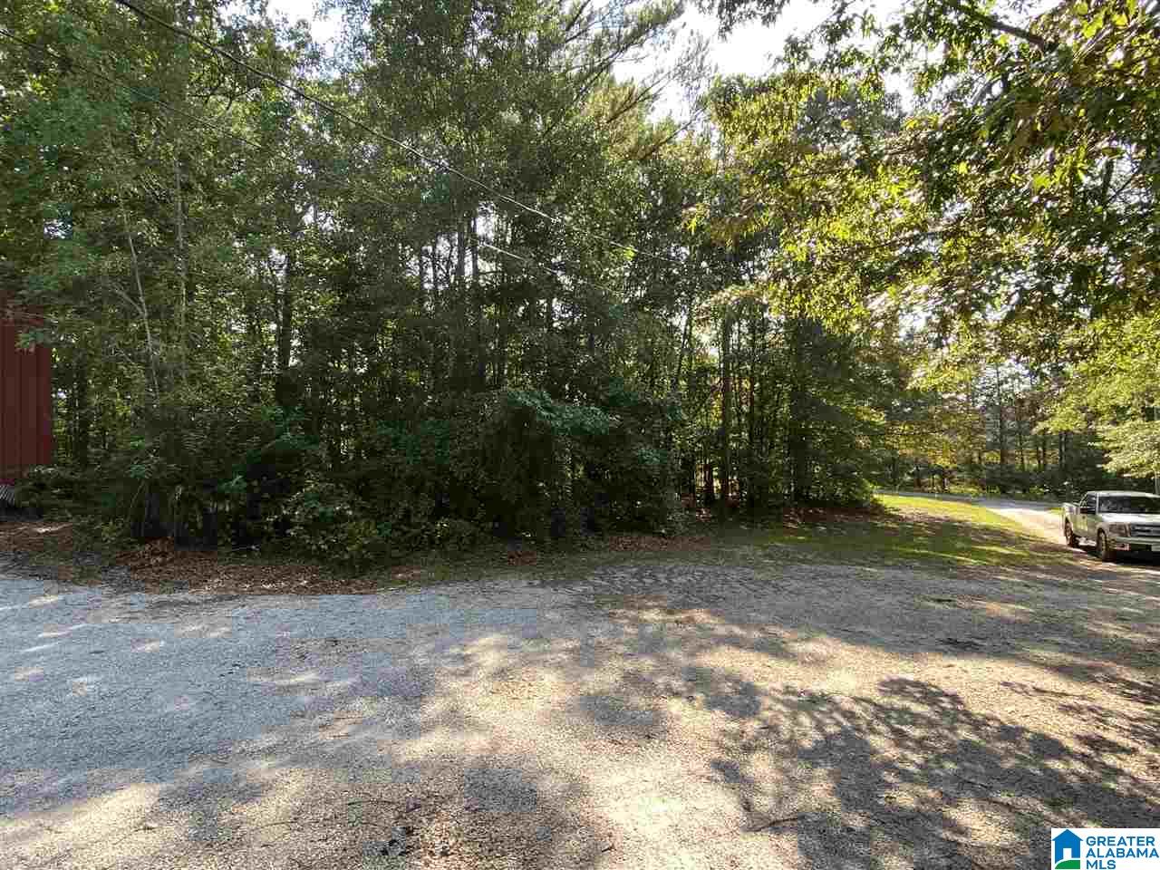 45 Sage Gap Road Goodwater, AL 35072 - Photo 15 of 47