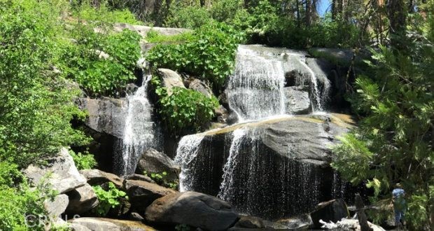 a view of a street with potted plants