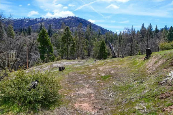 a backyard of a house with large trees