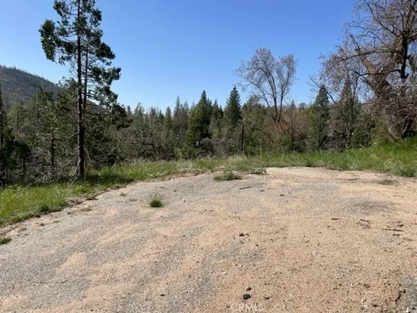 a view of a yard with a tree