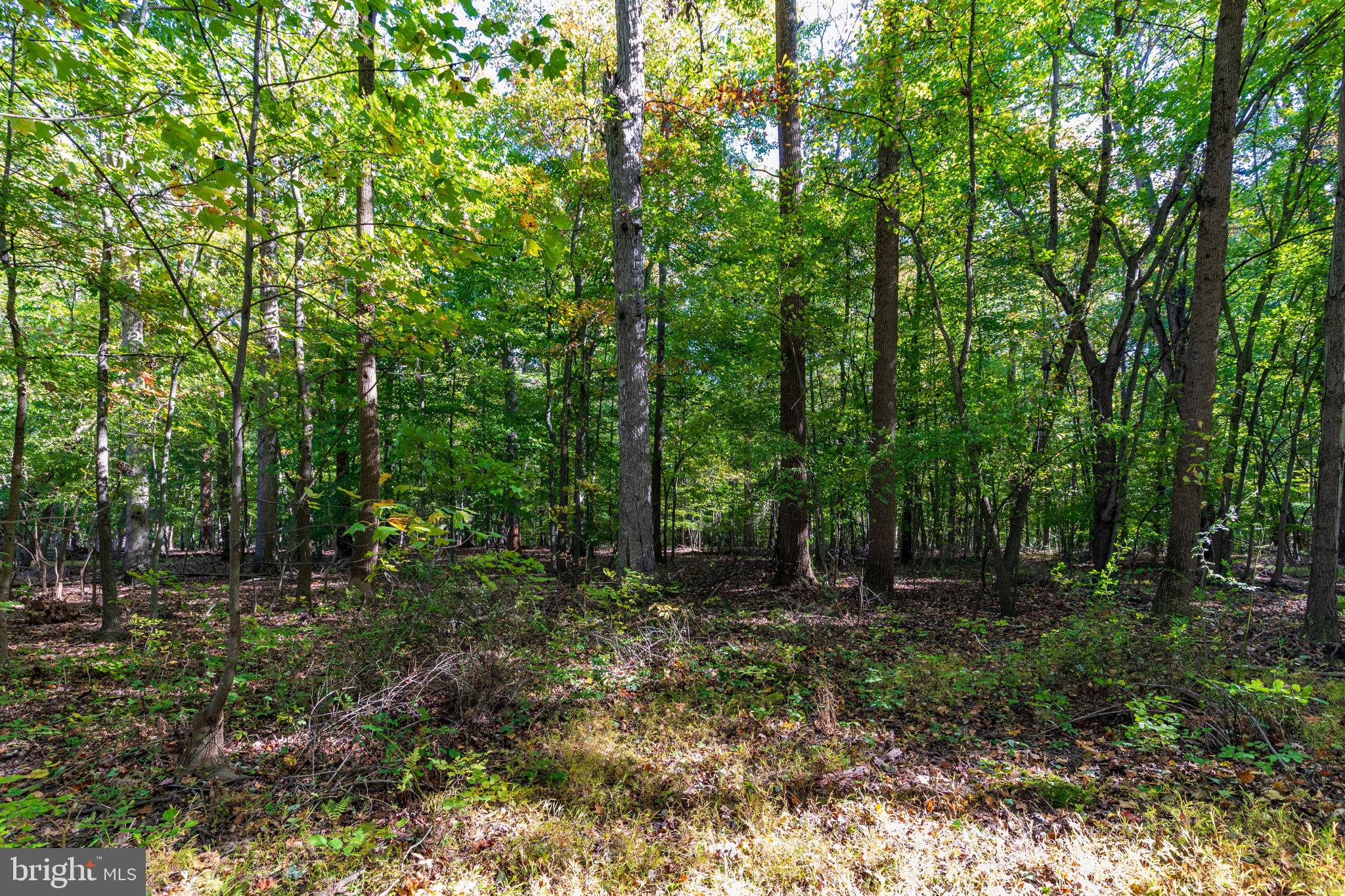 619 Carsins Run Road Aberdeen, MD 21001 - Photo 16 of 38 Gallery Image 16