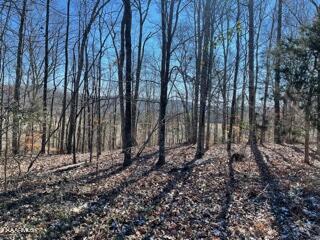 62 County Road Riceville, TN 37370 - Photo 1 of 10 image0 (1)