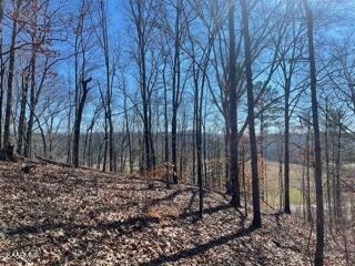 62 County Road Riceville, TN 37370 - Photo 3 of 10 image2 (1)