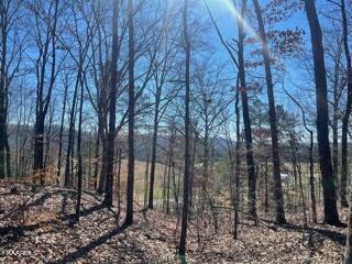 62 County Road Riceville, TN 37370 - Photo 5 of 10 image3 (1)