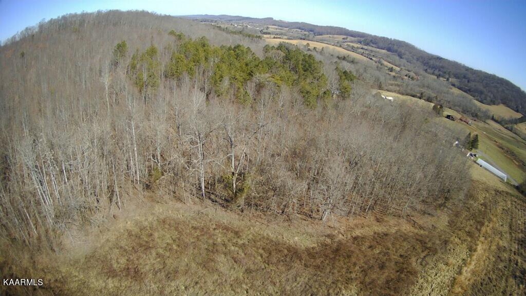 62 County Road Riceville, TN 37370 - Photo 8 of 10 image18