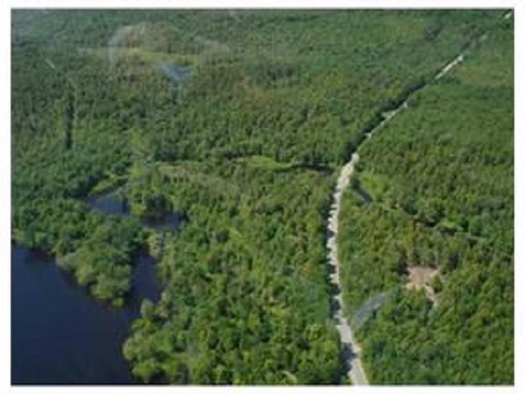 222 Mattamiscontis Road Howland, ME 04448 - Photo 5 of 15 Overview of the area...