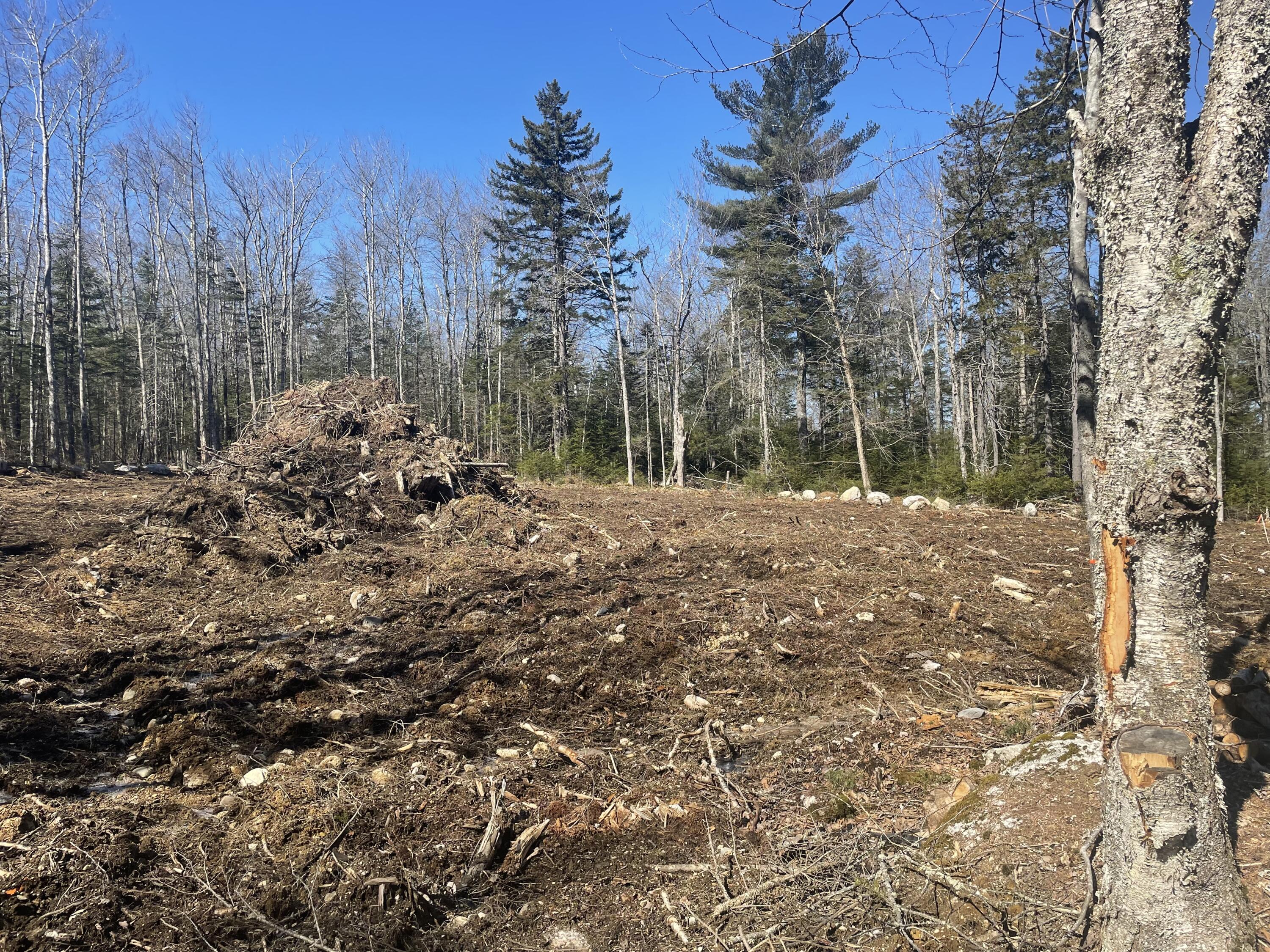 Map19-lot60 High Point Drive Penobscot, ME 04476 - Photo 13 of 15 image00013