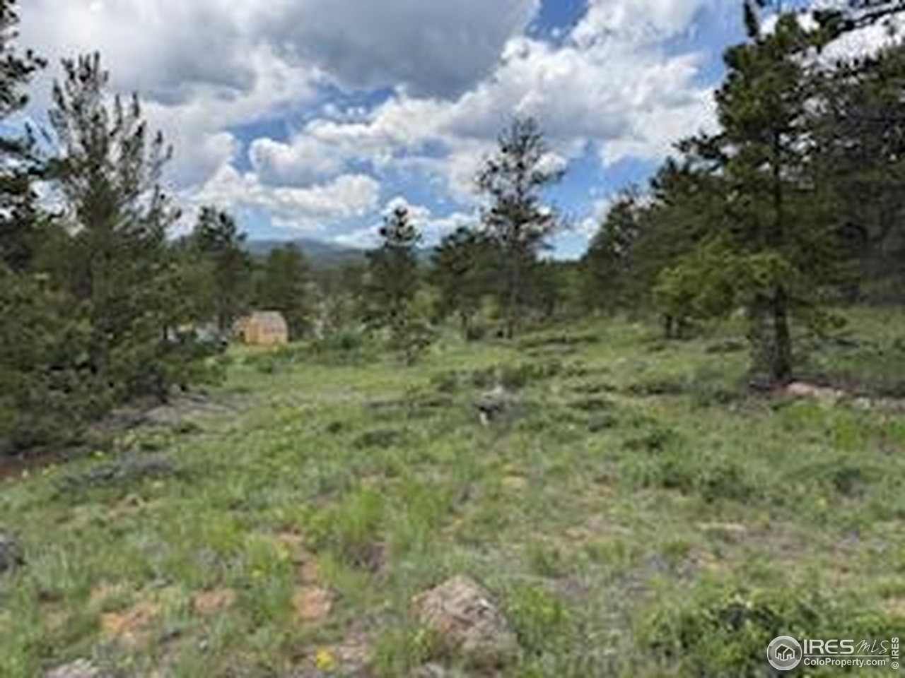 466 Navajo Road Red Feather Lakes, CO 80545 - Photo 11 of 33 Gallery Image 11