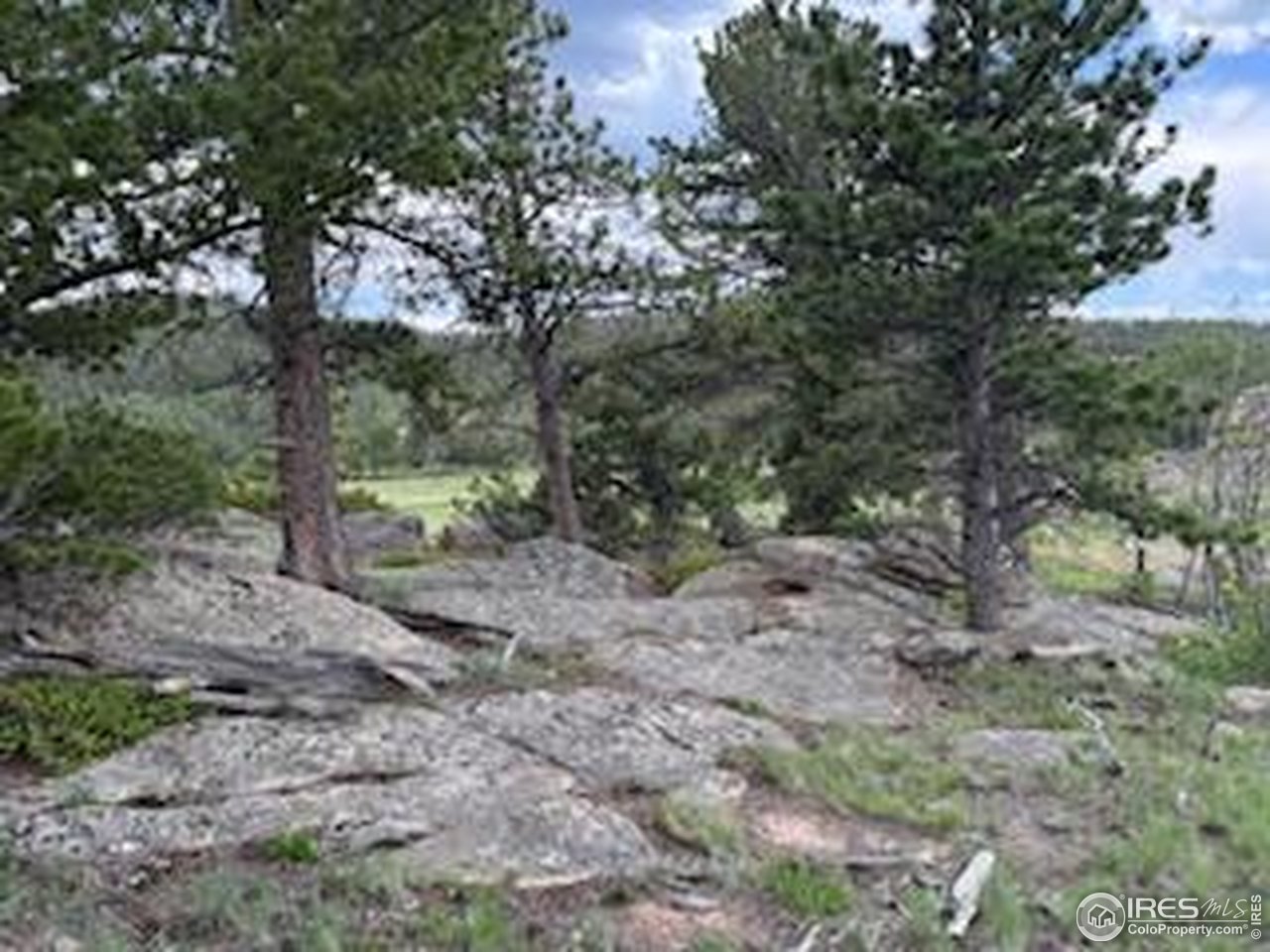 466 Navajo Road Red Feather Lakes, CO 80545 - Photo 13 of 33 Gallery Image 13