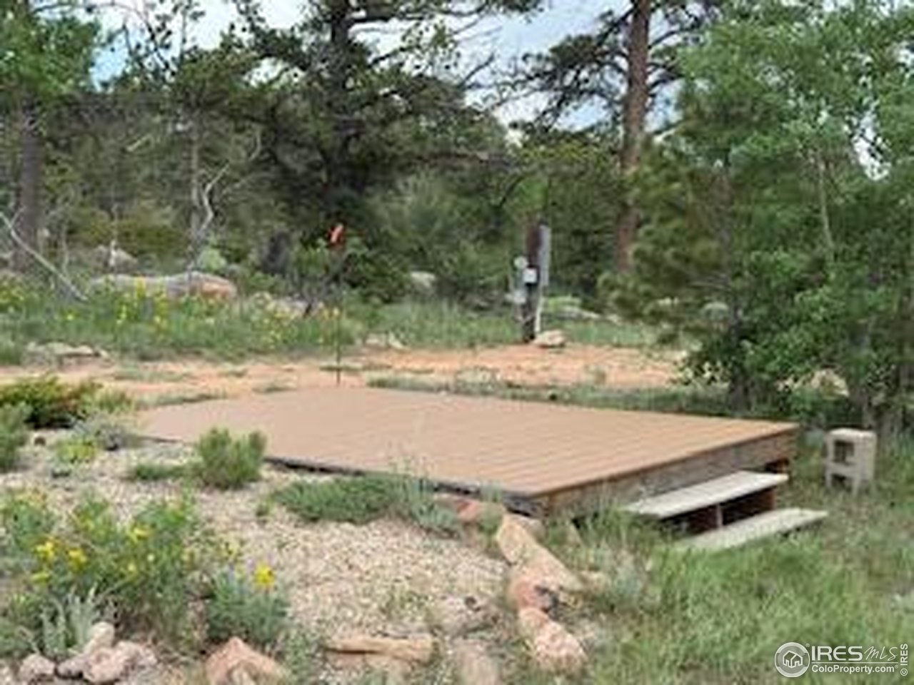 466 Navajo Road Red Feather Lakes, CO 80545 - Photo 17 of 33 Gallery Image 17