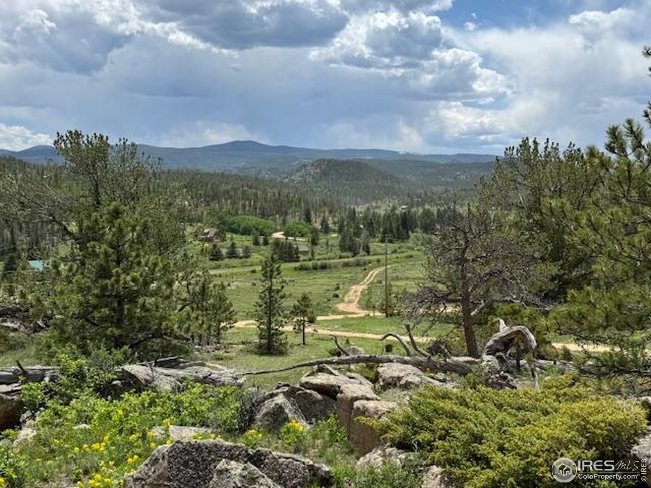 466 Navajo Road Red Feather Lakes, CO 80545 - Photo 2 of 33 Gallery Image 2