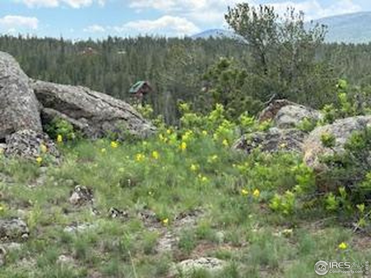 466 Navajo Road Red Feather Lakes, CO 80545 - Photo 22 of 33 Gallery Image 22