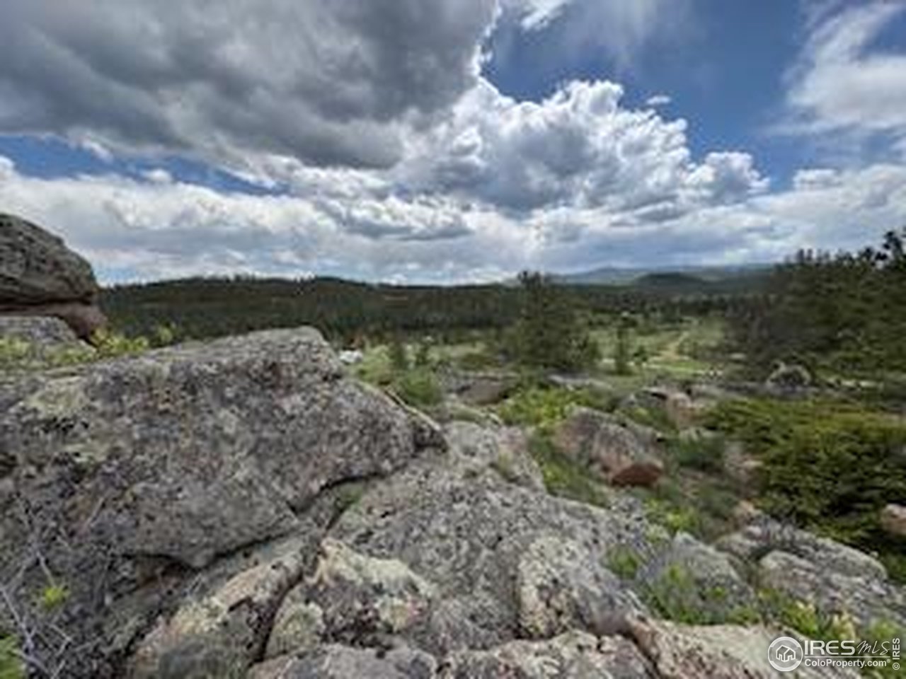 466 Navajo Road Red Feather Lakes, CO 80545 - Photo 25 of 33 Gallery Image 25