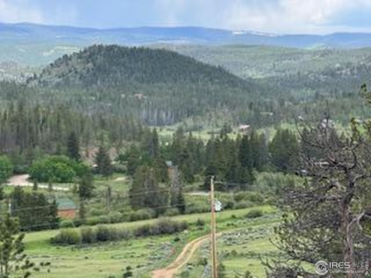 466 Navajo Road Red Feather Lakes, CO 80545 - Photo 26 of 33 Gallery Image 26