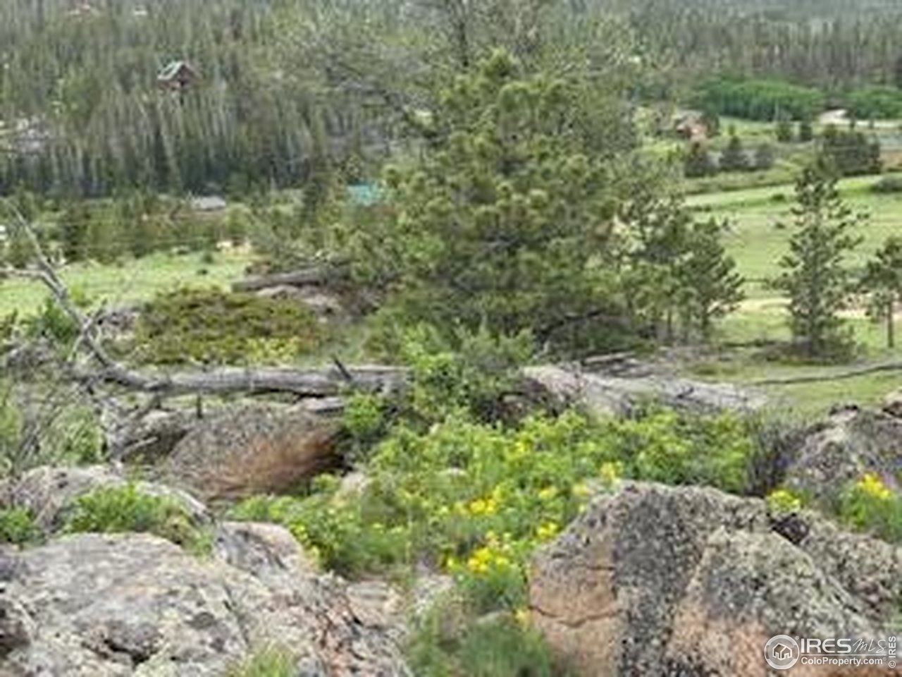 466 Navajo Road Red Feather Lakes, CO 80545 - Photo 27 of 33 Gallery Image 27