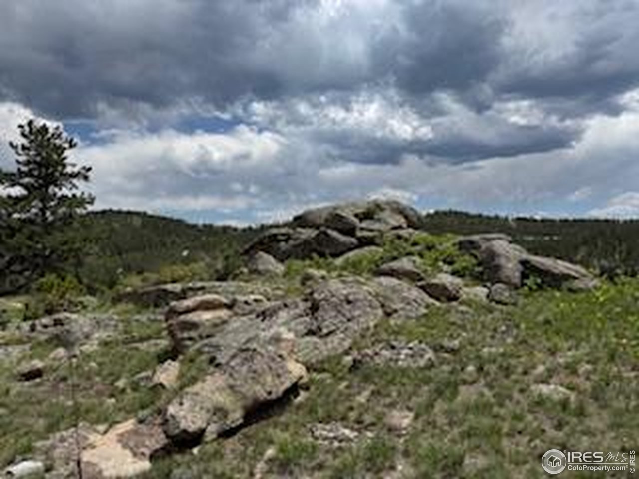466 Navajo Road Red Feather Lakes, CO 80545 - Photo 30 of 33 Gallery Image 30