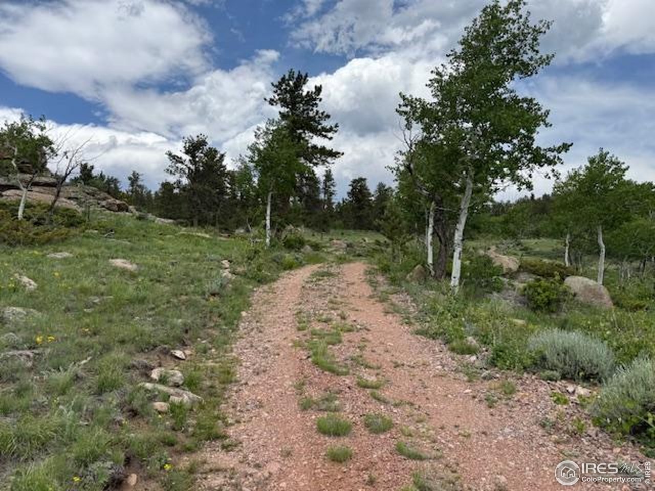466 Navajo Road Red Feather Lakes, CO 80545 - Photo 3 of 33 Gallery Image 3