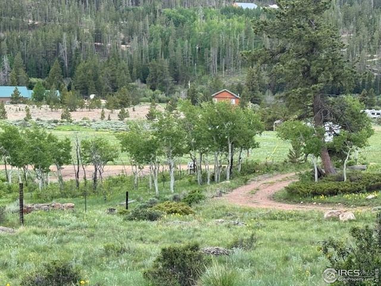 466 Navajo Road Red Feather Lakes, CO 80545 - Photo 4 of 33 Gallery Image 4