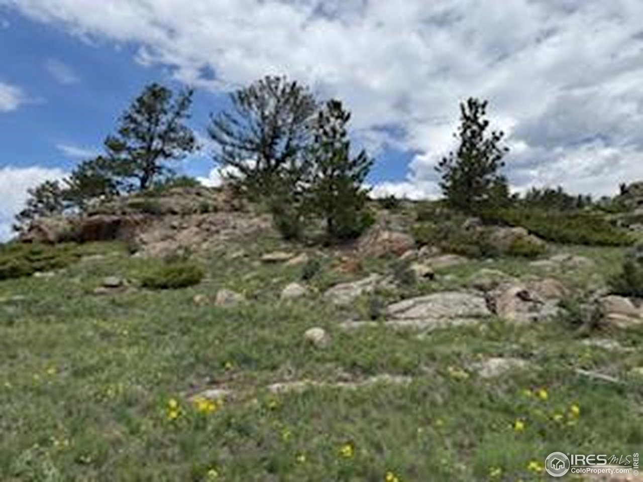 466 Navajo Road Red Feather Lakes, CO 80545 - Photo 5 of 33 Gallery Image 5