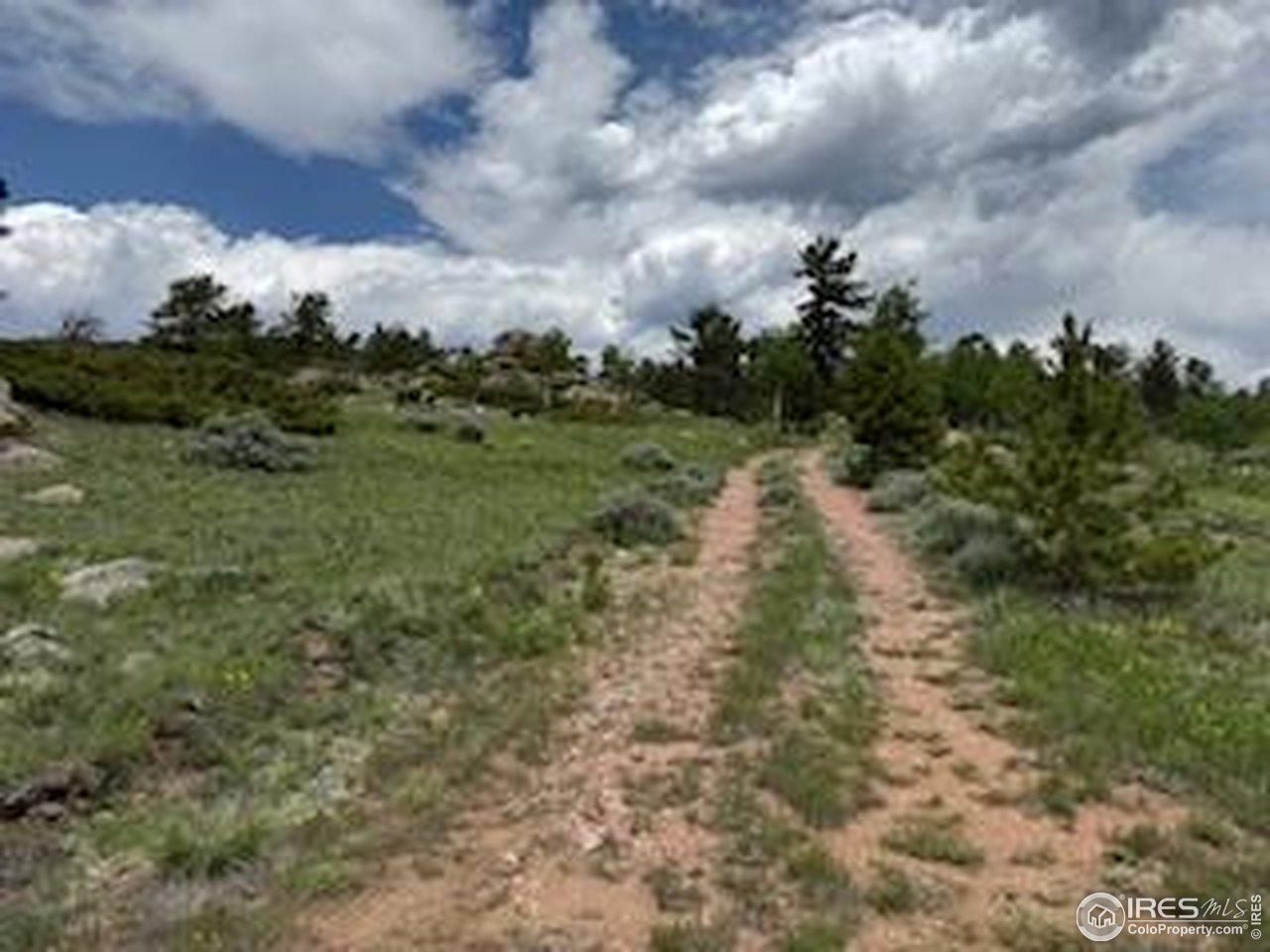 466 Navajo Road Red Feather Lakes, CO 80545 - Photo 6 of 33 Gallery Image 6