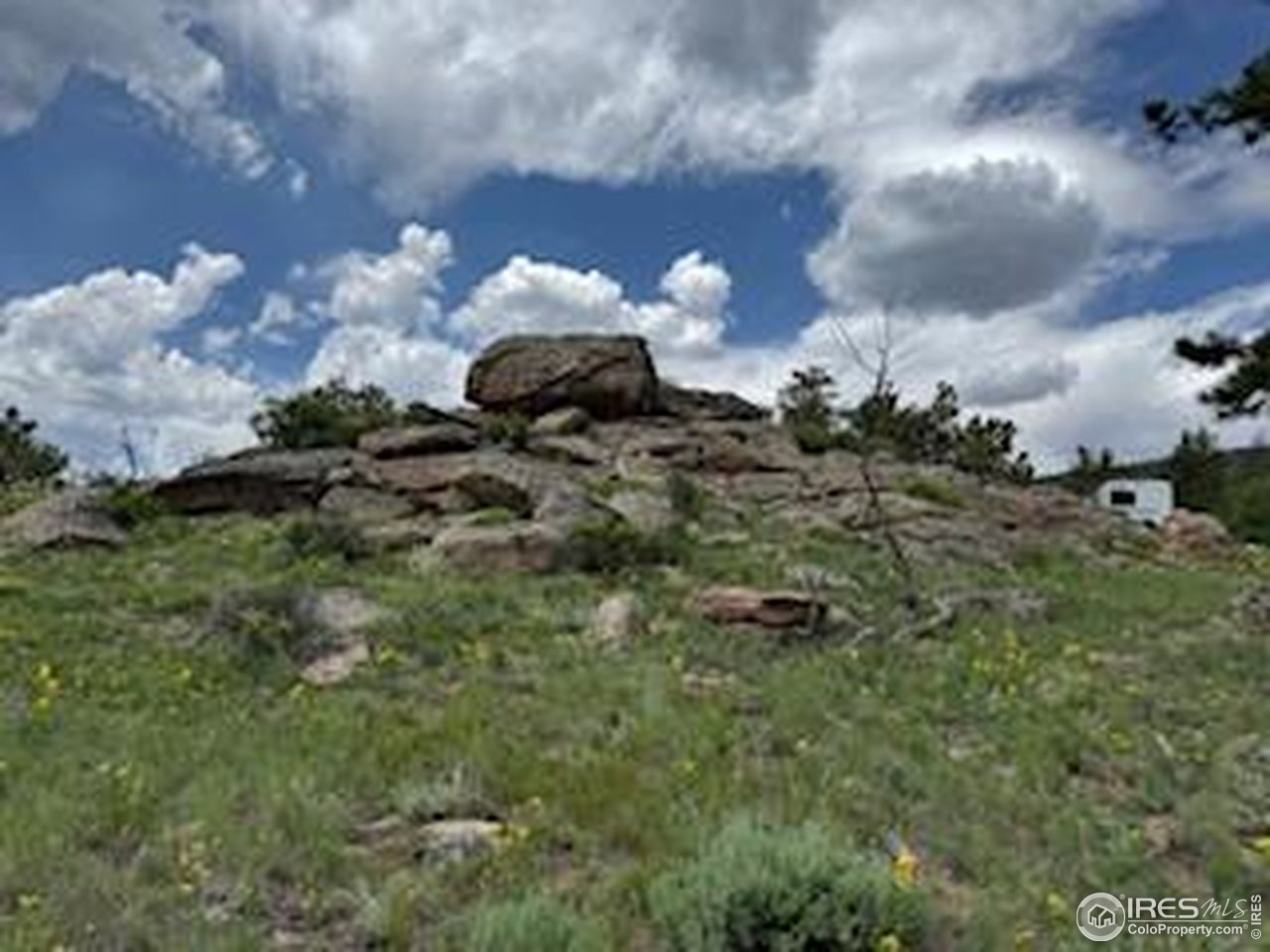 466 Navajo Road Red Feather Lakes, CO 80545 - Photo 7 of 33 Gallery Image 7