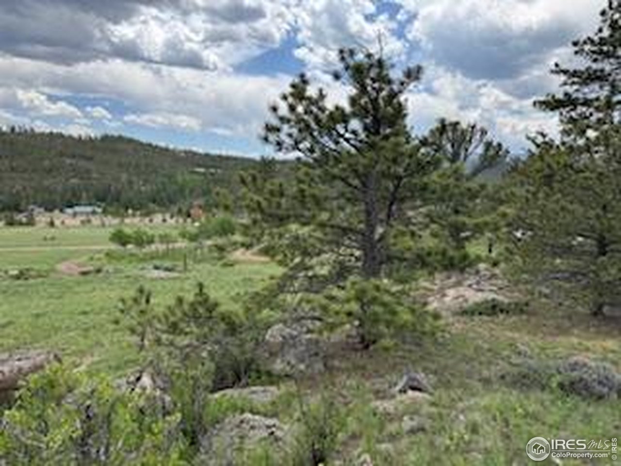 466 Navajo Road Red Feather Lakes, CO 80545 - Photo 9 of 33 Gallery Image 9