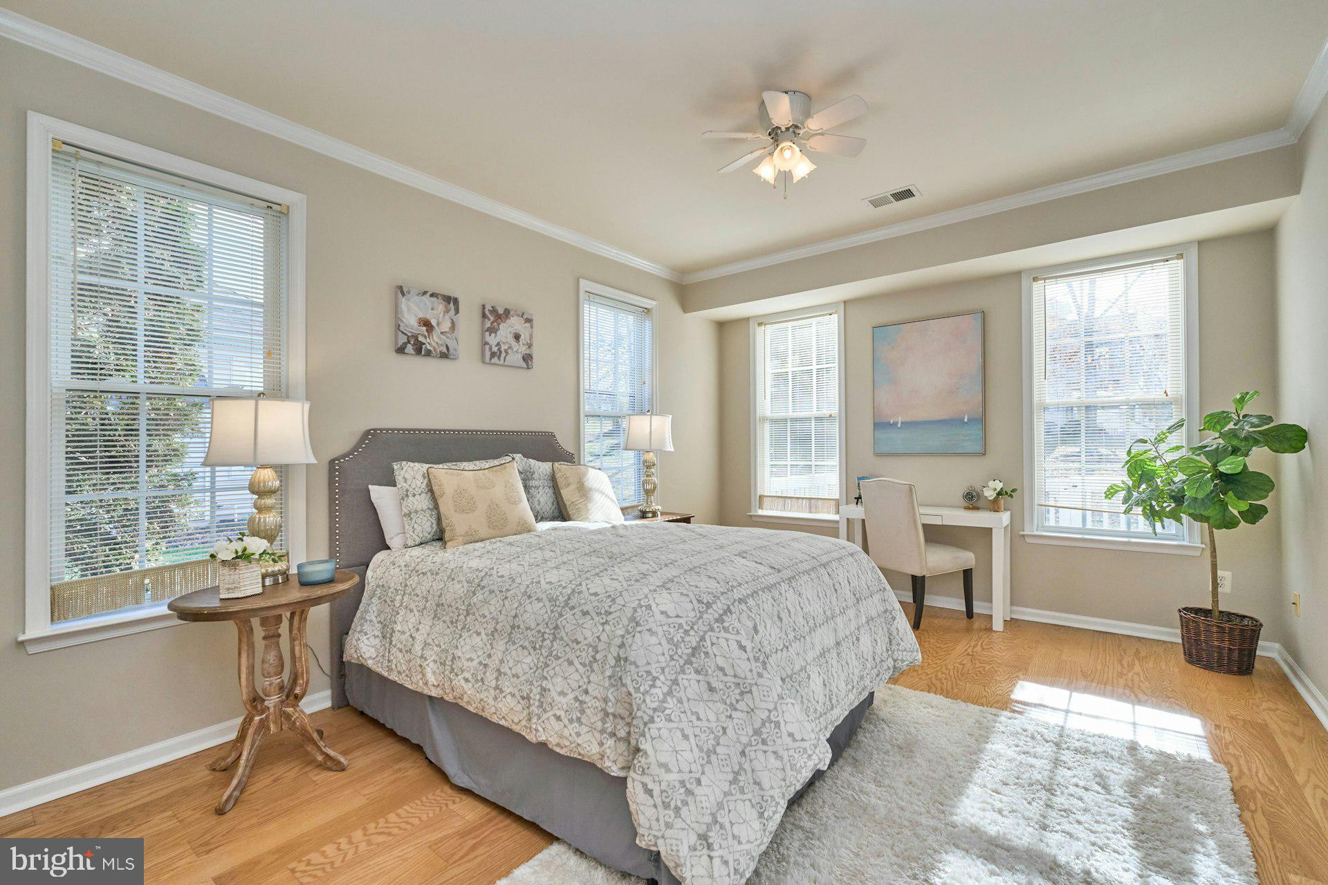 6916 Broadleaf Terrace Gainesville, VA 20155 - Photo 18 of 40 Primary Bedroom w/Ceiling Fan & Windows