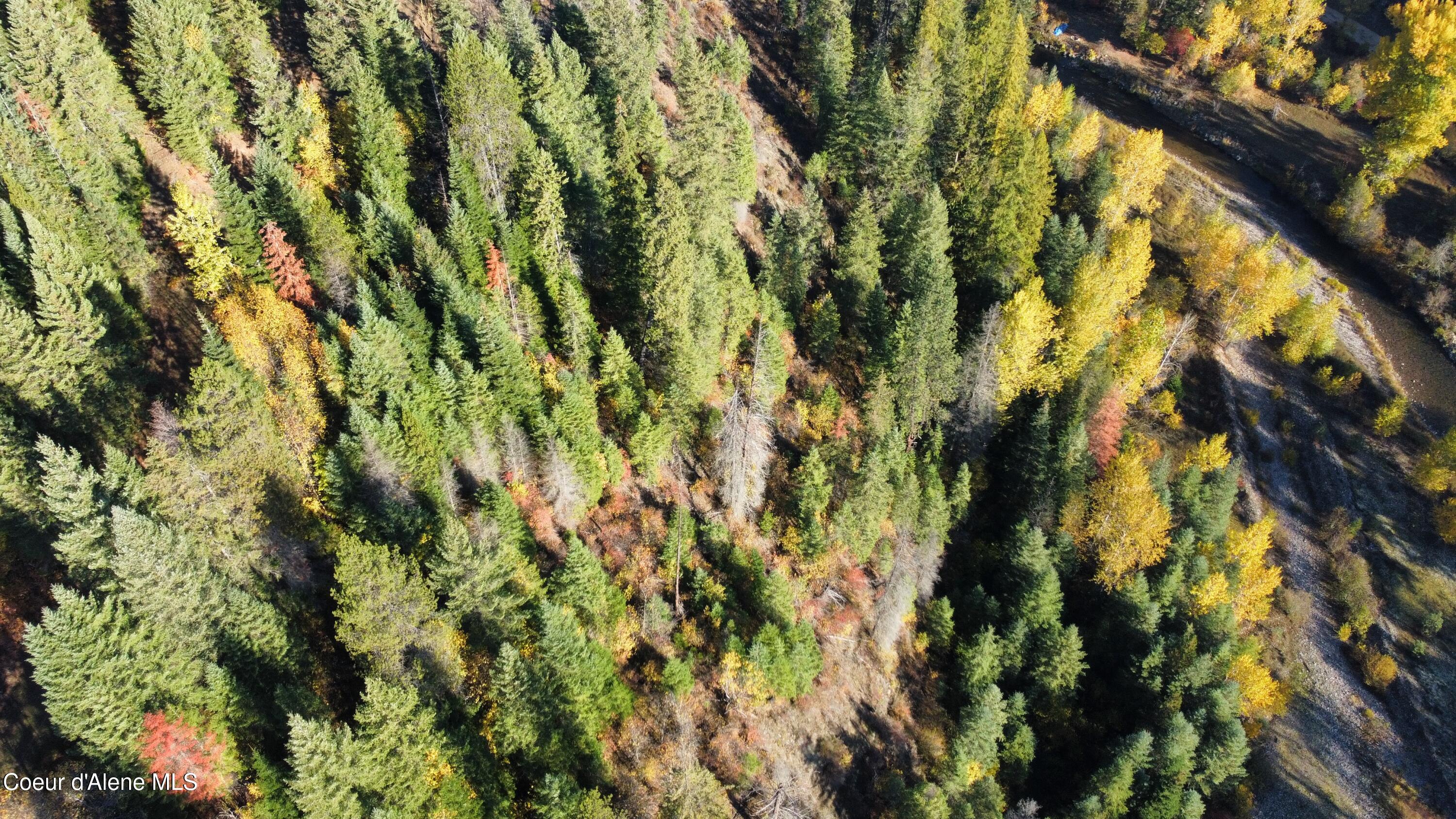 Nka North Side Road Calder, ID 83808 - Photo 11 of 15 dji_fly_20251022_093818_941_176115112350