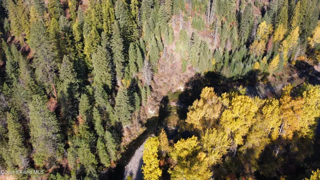 $65,000 | Nka North Side Road, Calder, ID 83808