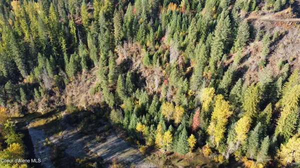 $65,000 | Nka North Side Road, Calder, ID 83808