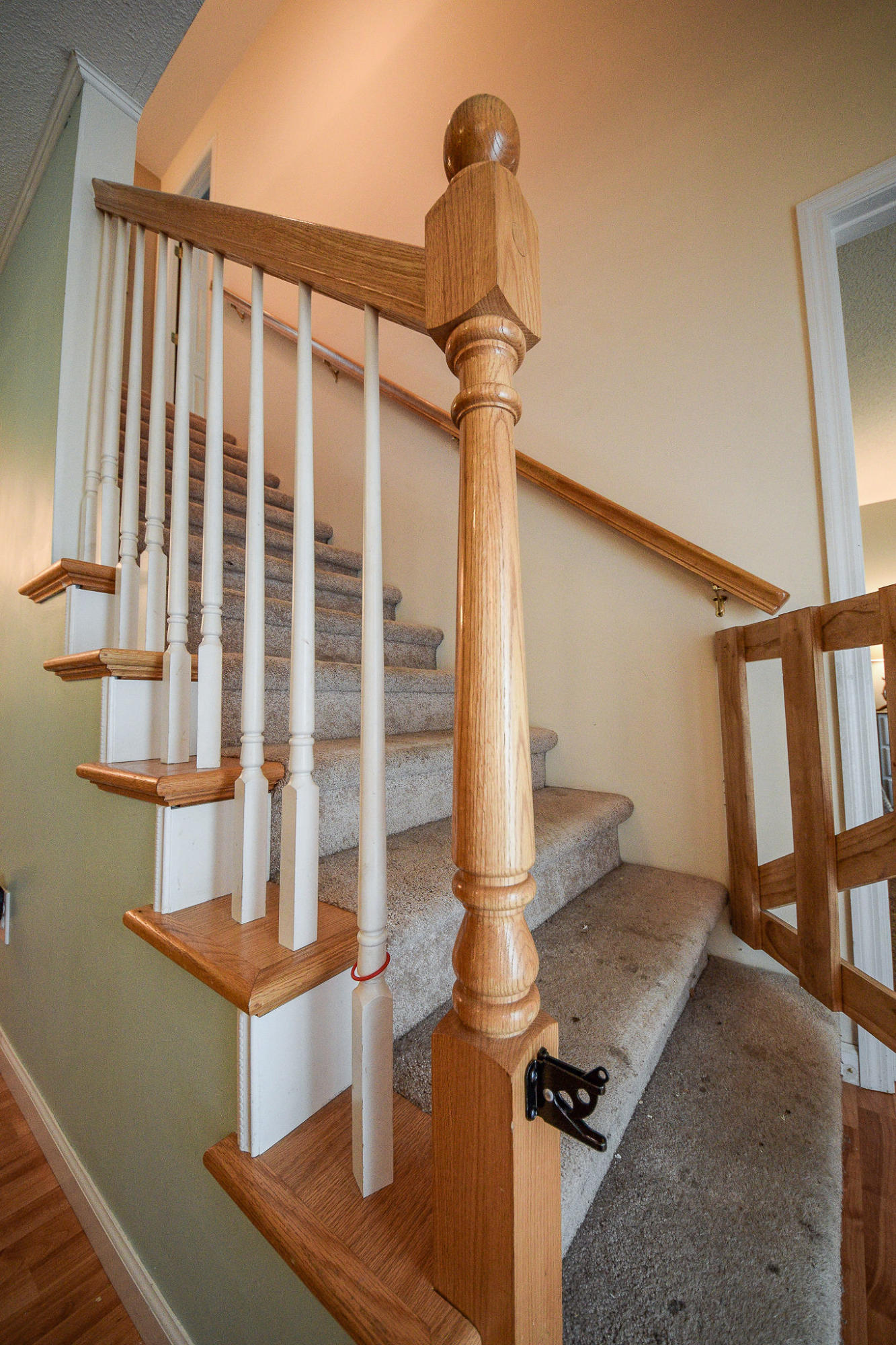 243 Casteel Road Cleveland, TN 37323 - Photo 13 of 48 DSC_0009
