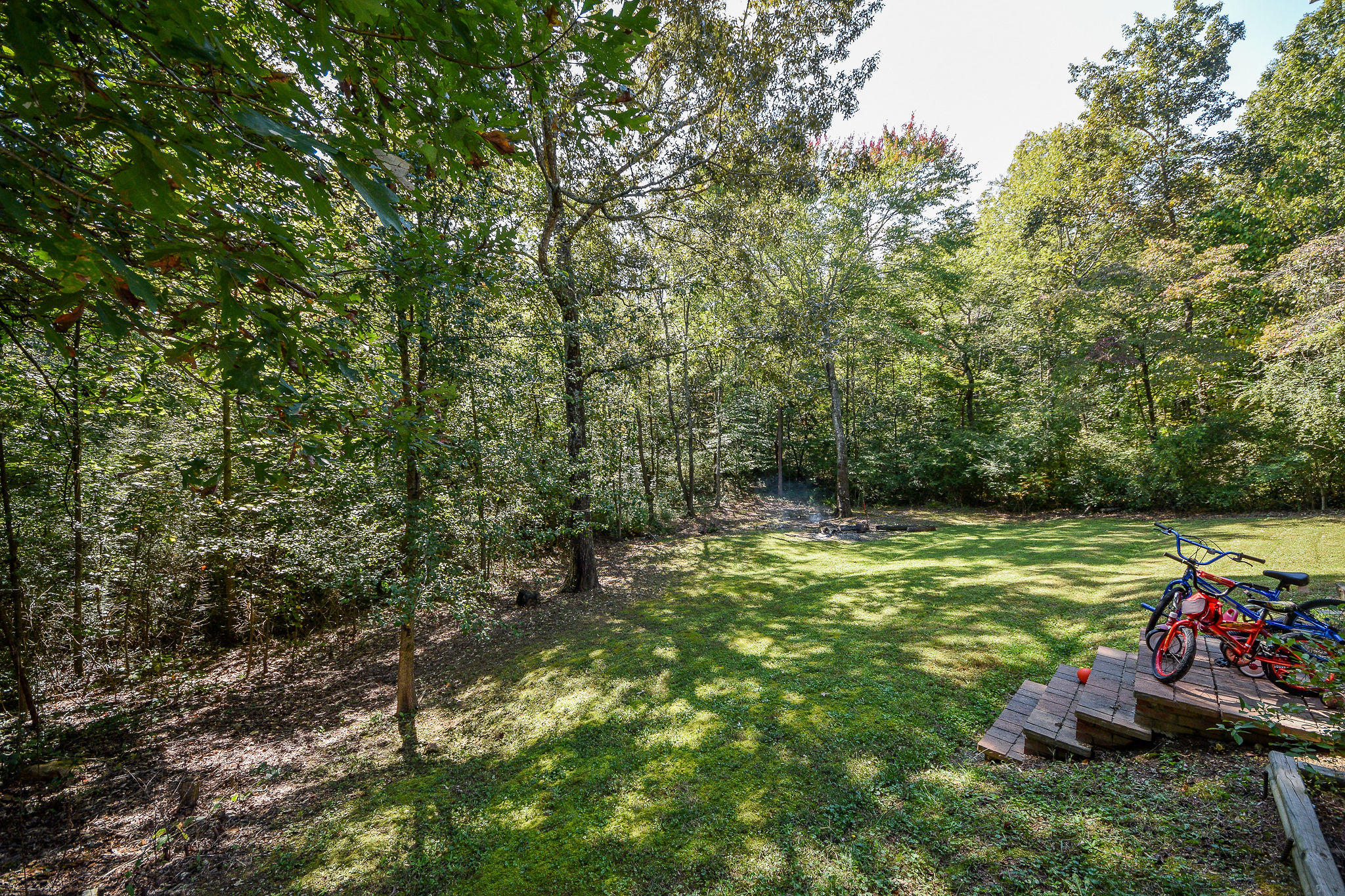 243 Casteel Road Cleveland, TN 37323 - Photo 45 of 48 DSC_9971