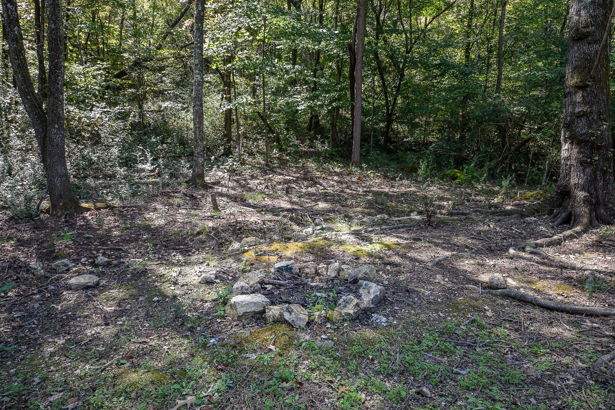 243 Casteel Road Cleveland, TN 37323 - Photo 48 of 48 DSC_9974