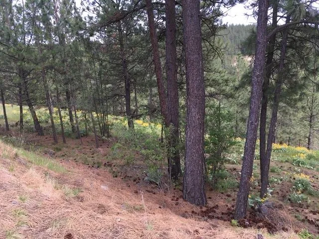 $139,500 | 2410 East Hangman Creek Lane, Spokane, WA 99224