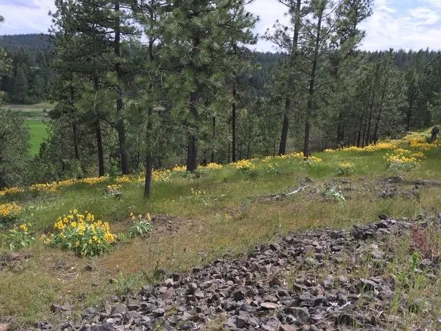 $139,500 | 2410 East Hangman Creek Lane, Spokane, WA 99224