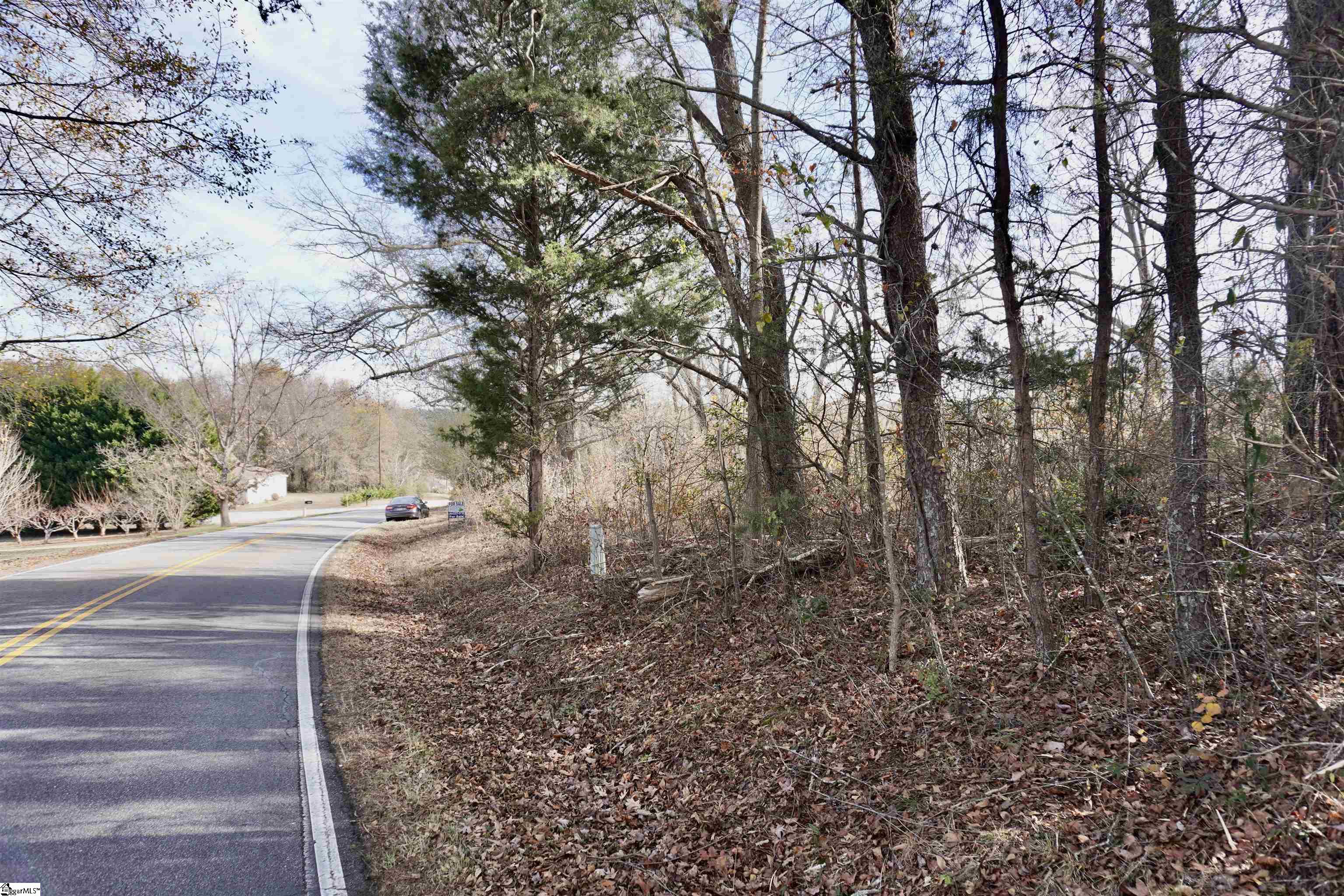 0 Dickson Road Campobello, SC 29322 - Photo 5 of 8